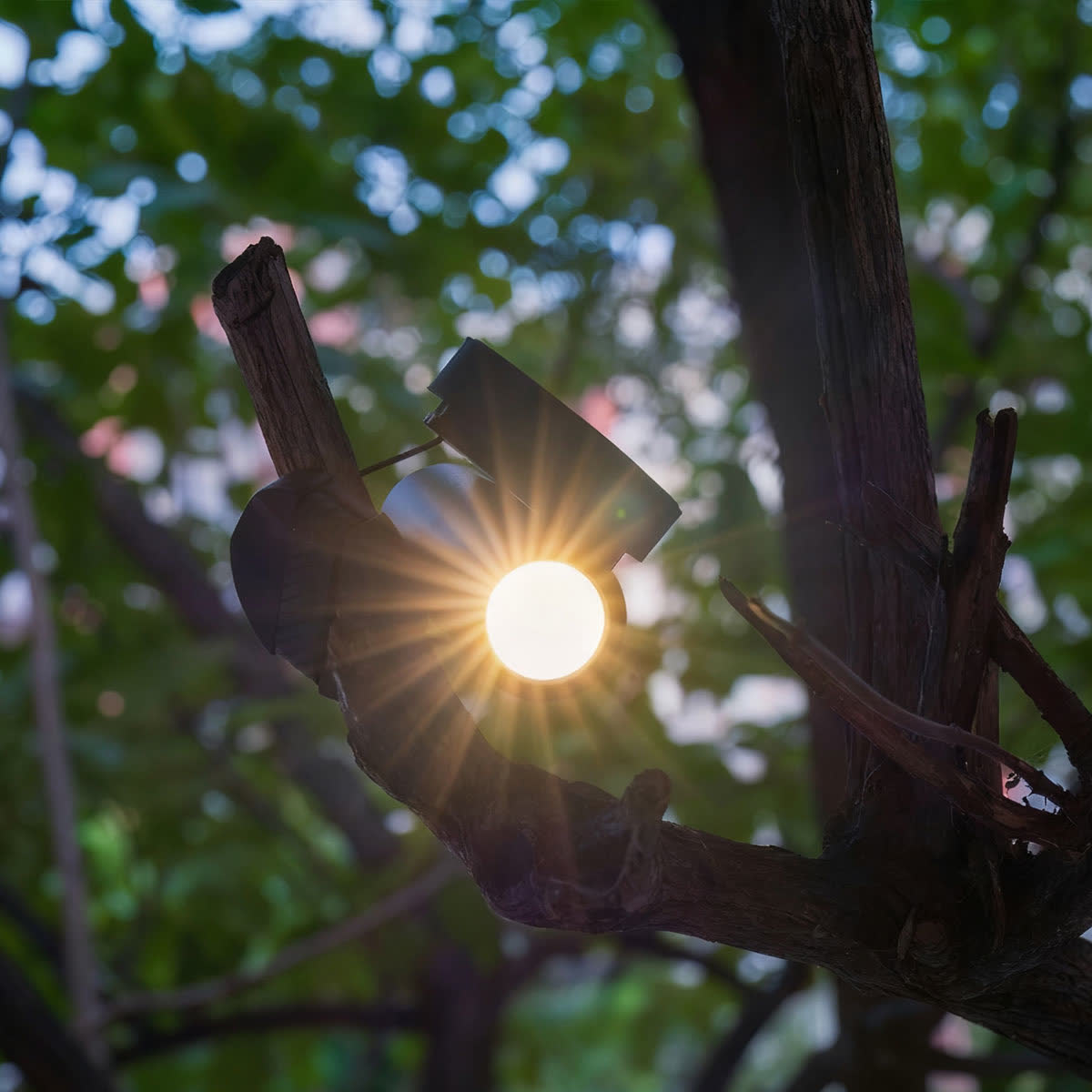 Pocket Ranger Lantern