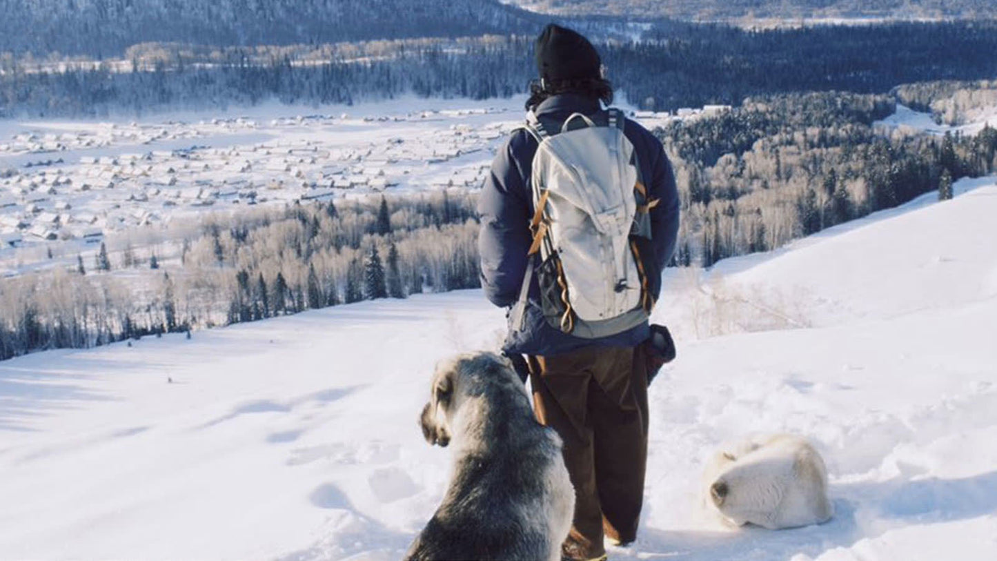 How Photographers Protect Their Gear in Rain, Dust, and Snow