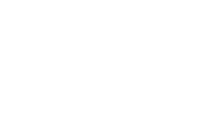 VSGO